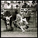 Jeff Pendleton Photo 10