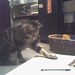 Tabby Hughes Photo 8