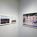 Michelle Cheek Photo 29