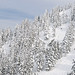 Jason Tanguay Photo 9