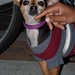 Norman Short Photo 14