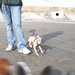 Melissa Curby Photo 12