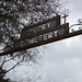Thomas Dowdell Photo 24