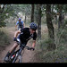 Justin Howard Photo 12