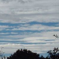 Jane Tuttle Photo 26