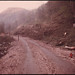 Robin Mines Photo 7