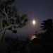 Karen Gremp Photo 10