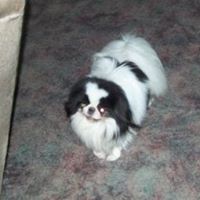 Sherry Debolt Photo 1