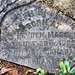 Joel Cotten Photo 7
