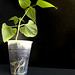 Jeremiah Root Photo 10