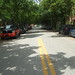 Dina Weinstein Photo 9