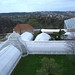 Daniel Phipps Photo 38