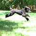 Addie Minor Photo 7
