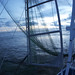 Mike Bradshaw Photo 8