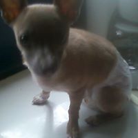 Nilza Rodriguez Photo 8