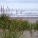 Janice Sheehan Photo 31