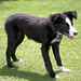 Jess Matlock Photo 23