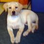 Darlene Willis Photo 22