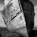 Shawn Miller Photo 29