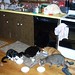 Carol Gunter Photo 19