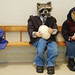 David Poole Photo 14