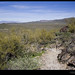 John Trail Photo 14