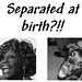 Julie Whitney Photo 2