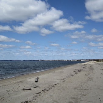 Cynthia Carner Photo 2