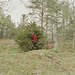 Agnes Bush Photo 6