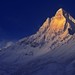 Dawn Lord Photo 24