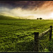 Tina Paradise Photo 9