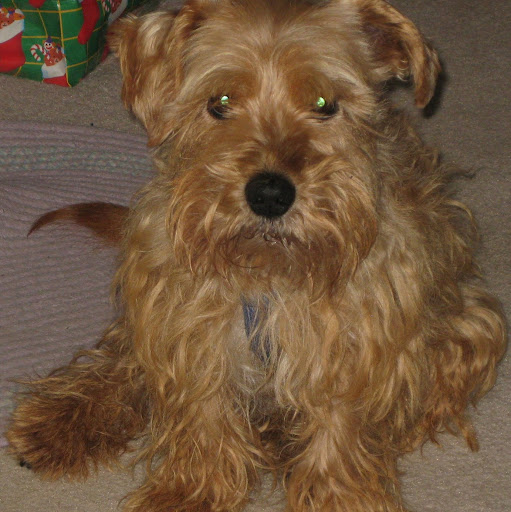 Peggy Scott Photo 5