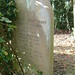 Ann Bishop Photo 40
