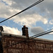 Joseph Cornelius Photo 12