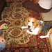 Joye Ellis Photo 7