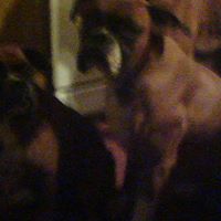 Duane Taylor Photo 11