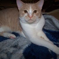 Jacquelyn Miller Photo 5