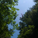 Julia Falk Photo 22