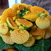 Heidi Hackett Photo 7