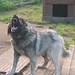 Rick Shepherd Photo 10