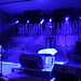 Sharon Mcgowan Photo 25