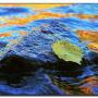 Debra Powers Photo 28