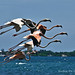 Sandra Castellano Photo 35