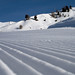 Will Albrecht Photo 15