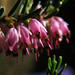 Heather King Photo 21