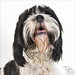 Sherry Watson Photo 14
