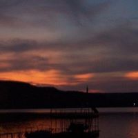 Judy Hardin Photo 8