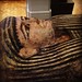 Robert Neave Photo 11