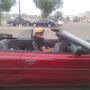David Belding Photo 20