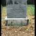 Thomas Mcadams Photo 11